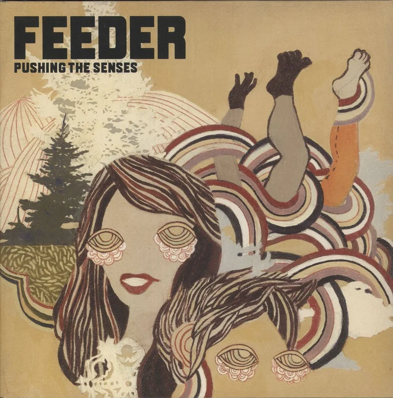 Feeder Pushing The Senses - VG UK Vinyl LP