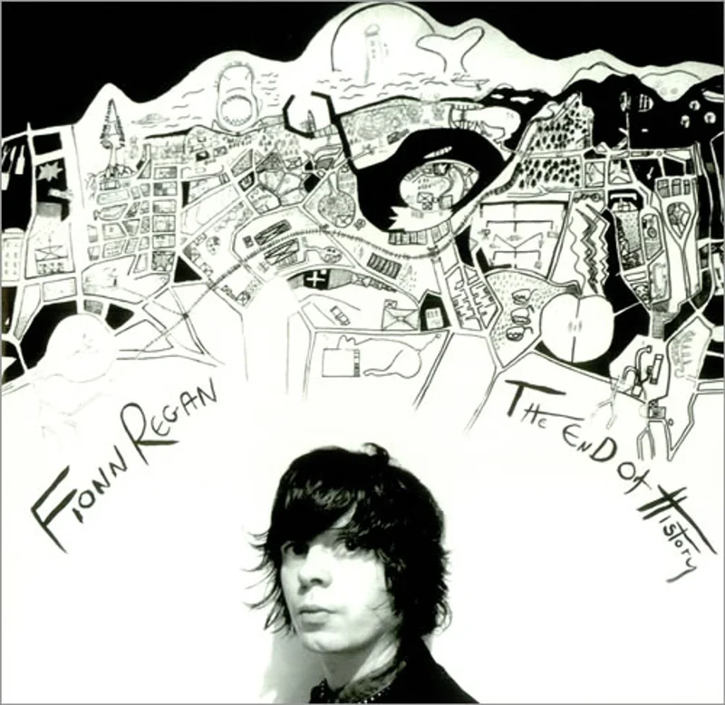Fionn Regan The End Of History US 10" vinyl
