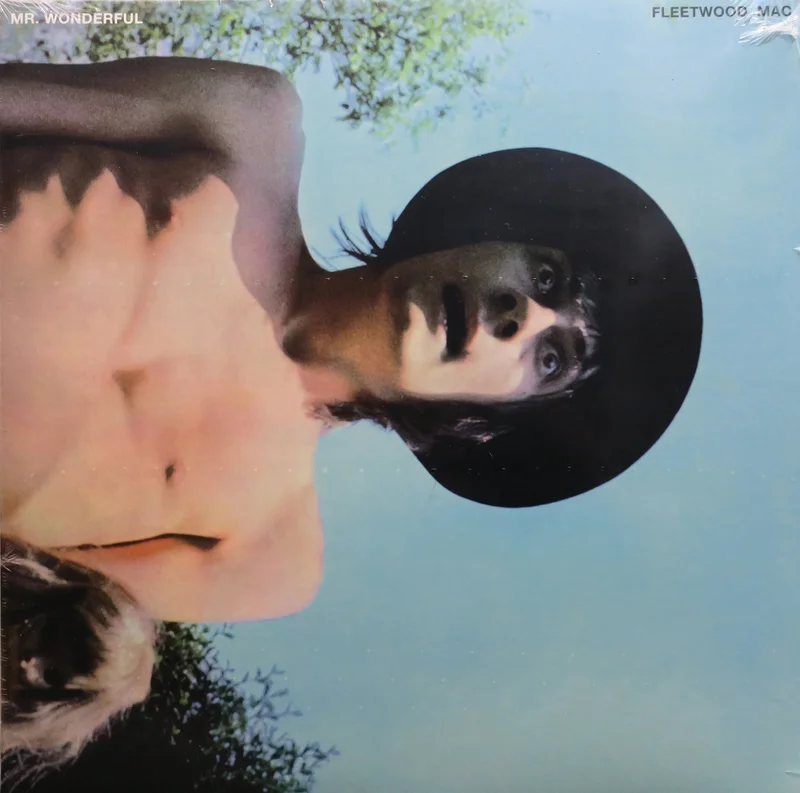 Fleetwood Mac Mr. Wonderful