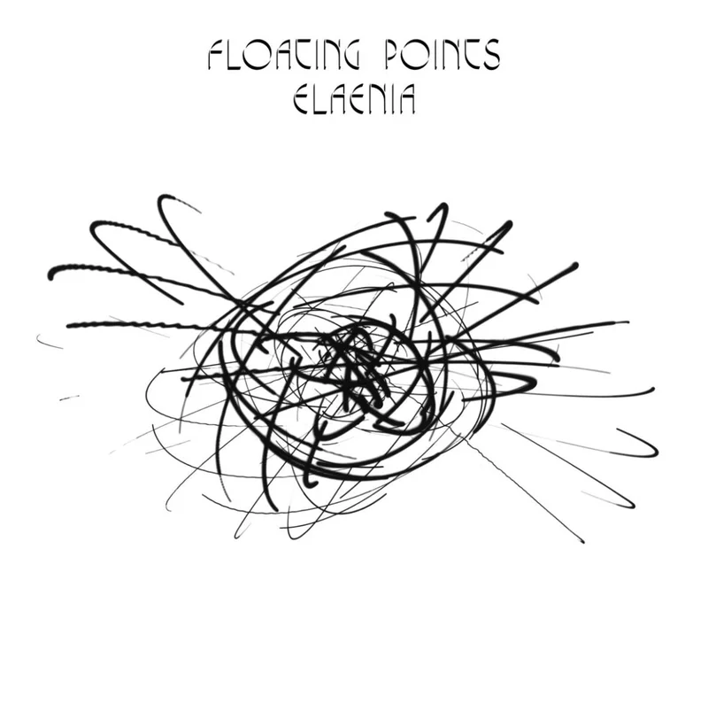 Floating Points Elaenia