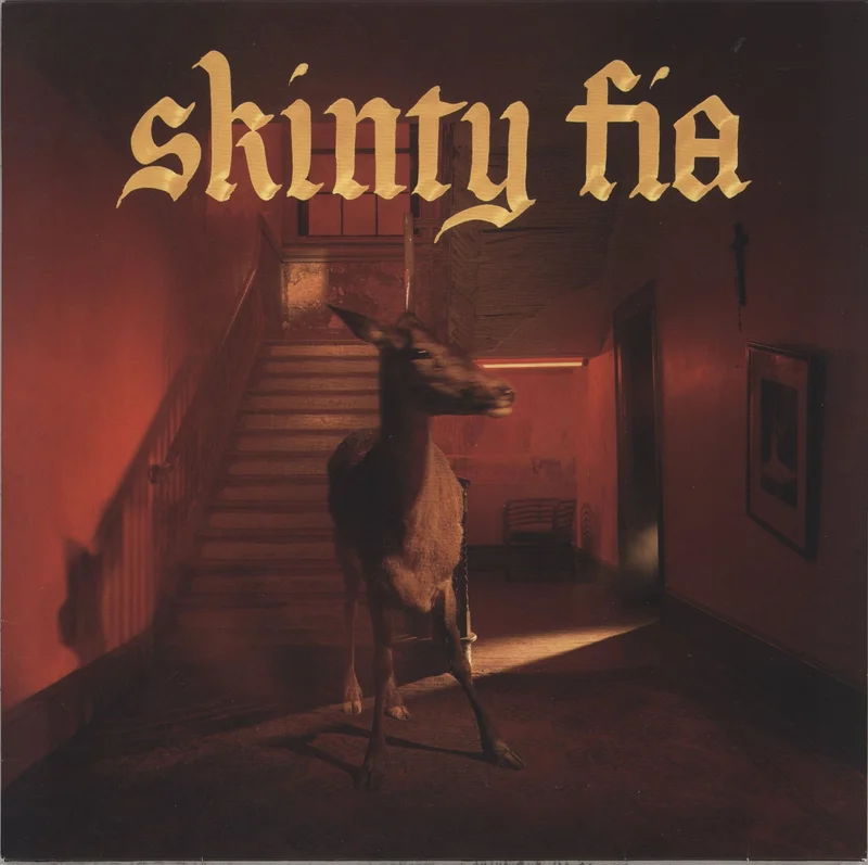 Fontaines D.C. Skinty Fia UK Vinyl LP