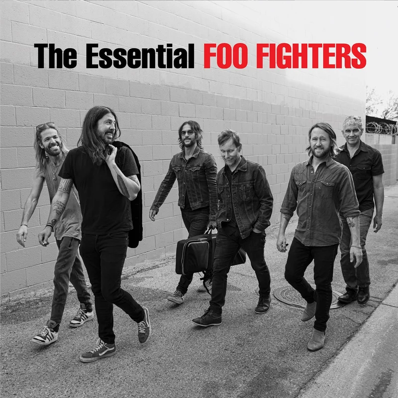 Foo Fighters The Essential (2xLP)