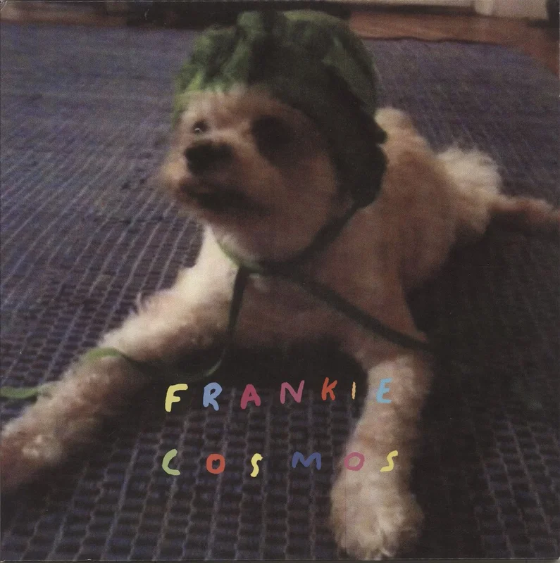 Frankie Cosmos Zentropy US Vinyl LP