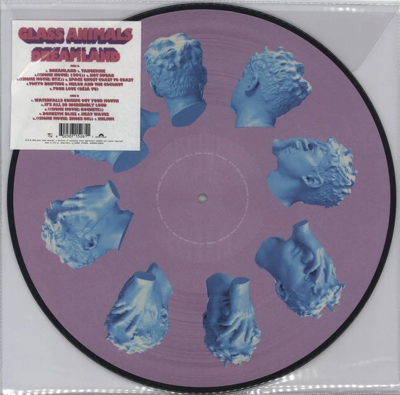 Glass Animals Dreamland UK Picture disc LP