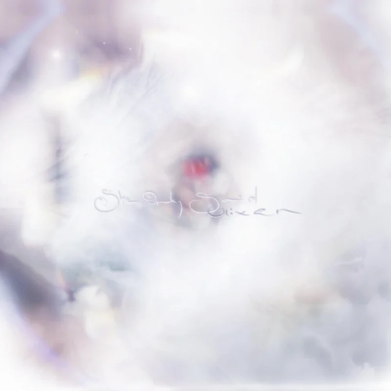 Glixen - She Only Said [Colored Vinyl] (Red)