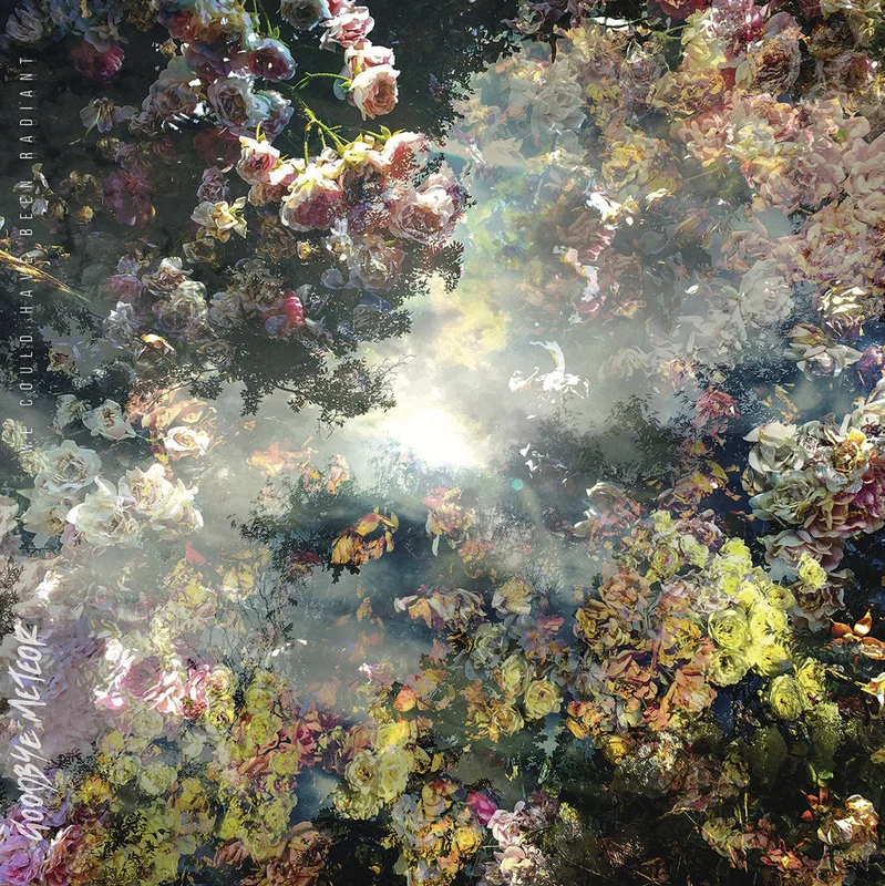 Goodbye Meteor  We Could Have Been Radiant [CD]