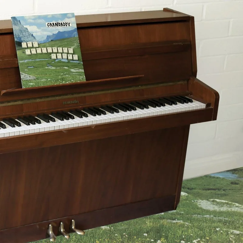 Grandaddy - "The Sophtware Slump ... On A Wooden Piano" Standard
