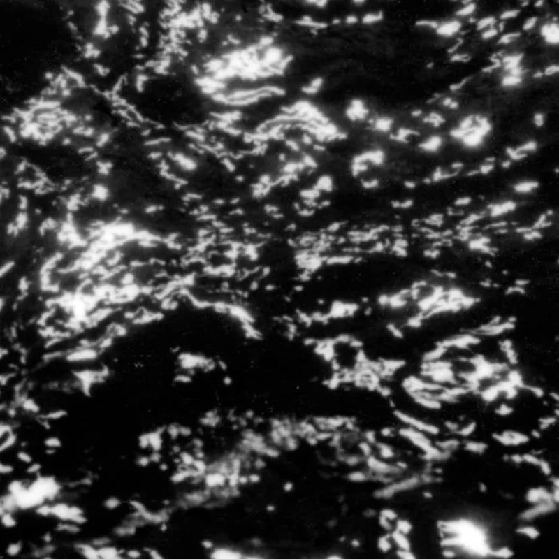 Grouper  A I A : Dream Loss