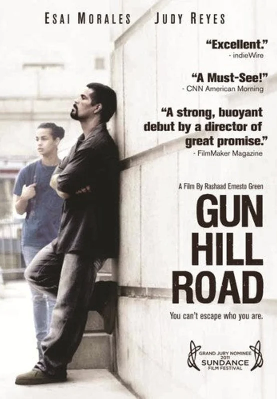 GUN HILL ROAD - DVD