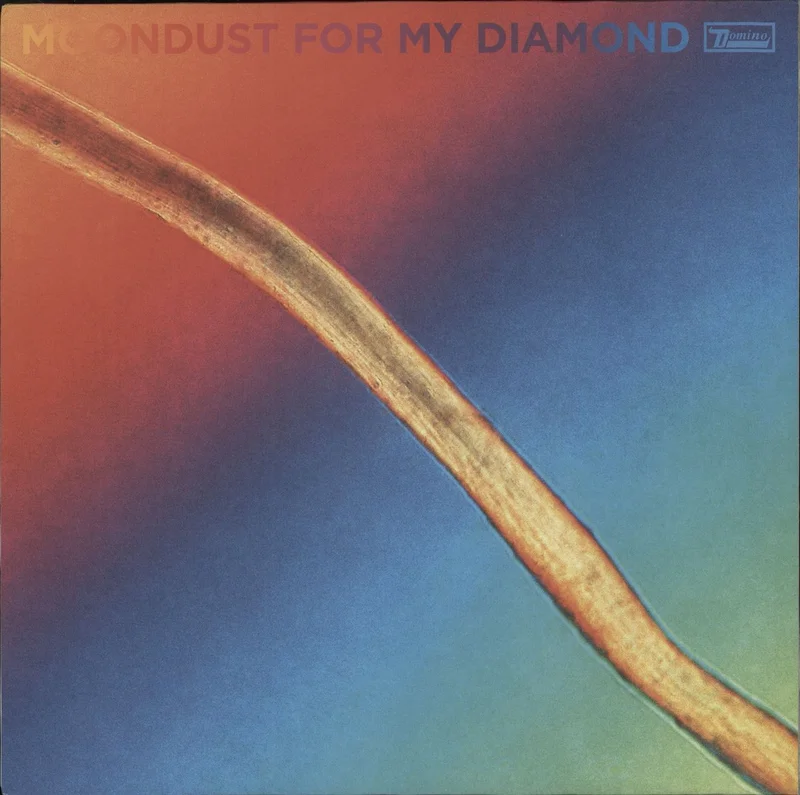 Hayden Thorpe Moondust For My Diamond UK Vinyl LP