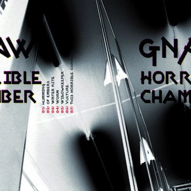 HORRIBLE CHAMBER - VINYL