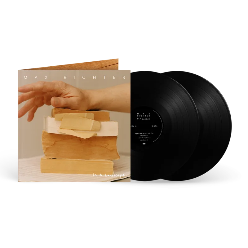 In A Landscape 2LP