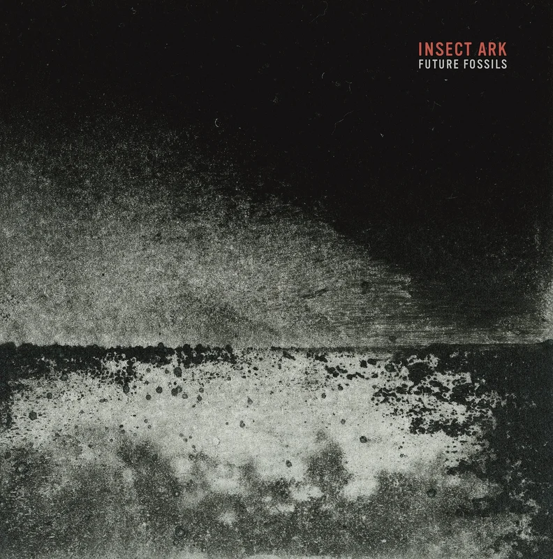 Insect Ark Future Fossils