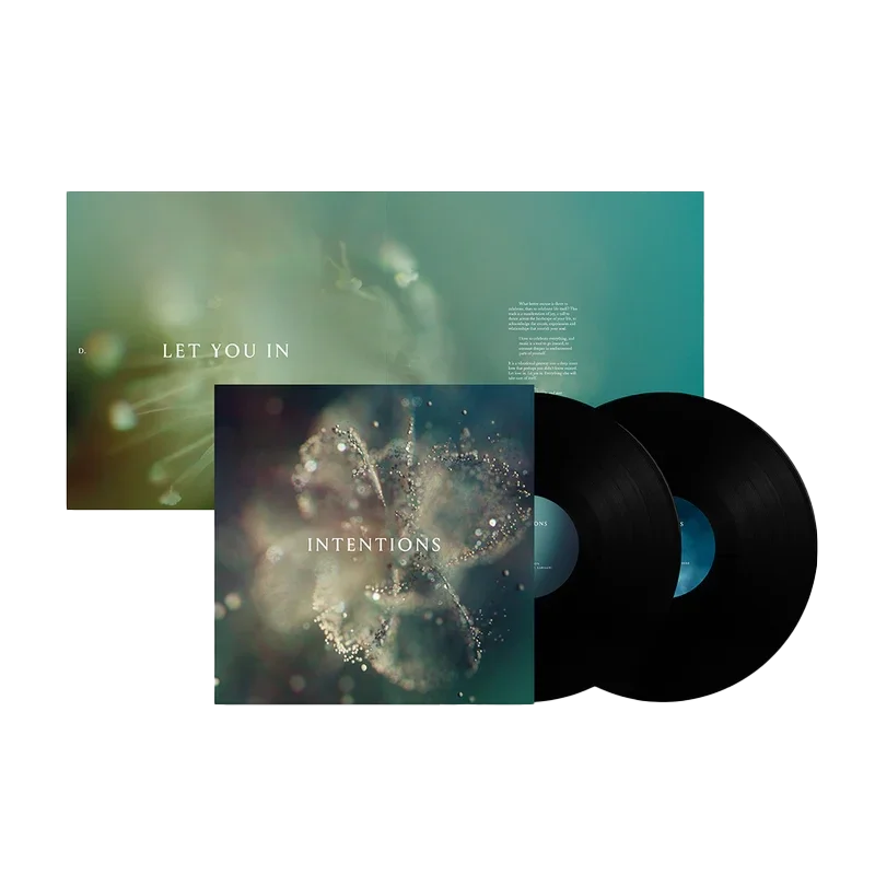 Intentions: Vinyl LP