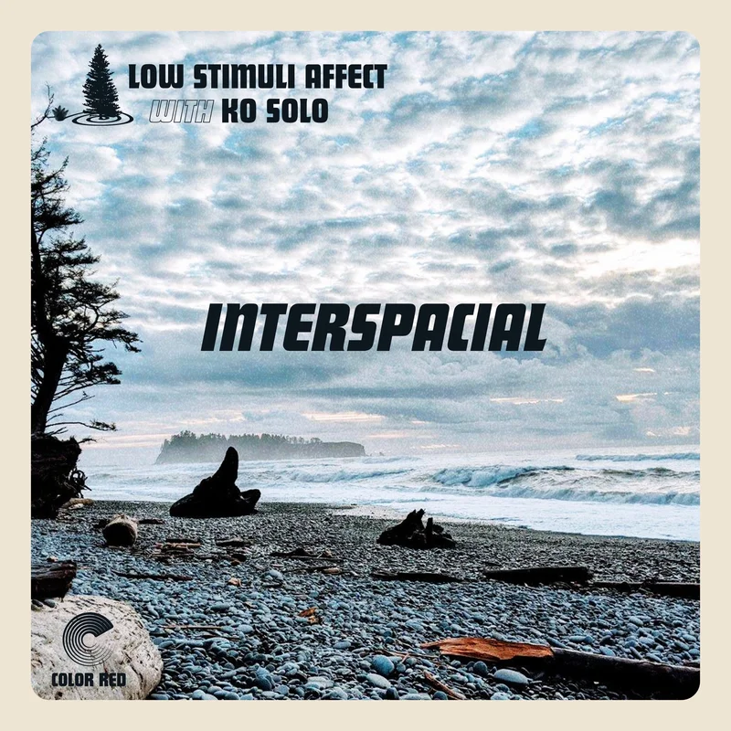 Interspacial
