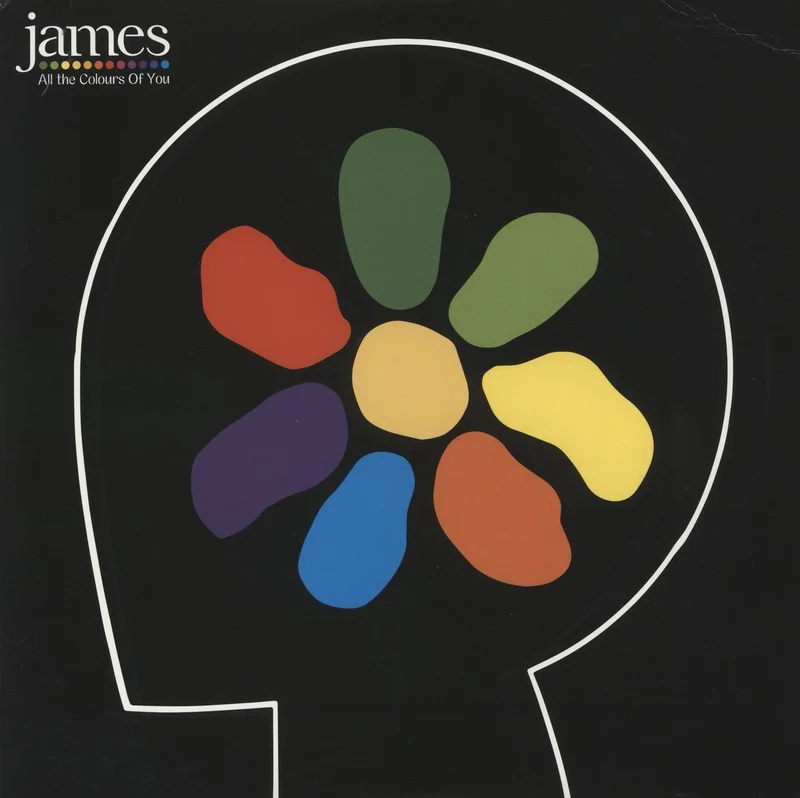 James All The Colours Of You UK 2-LP vinyl set