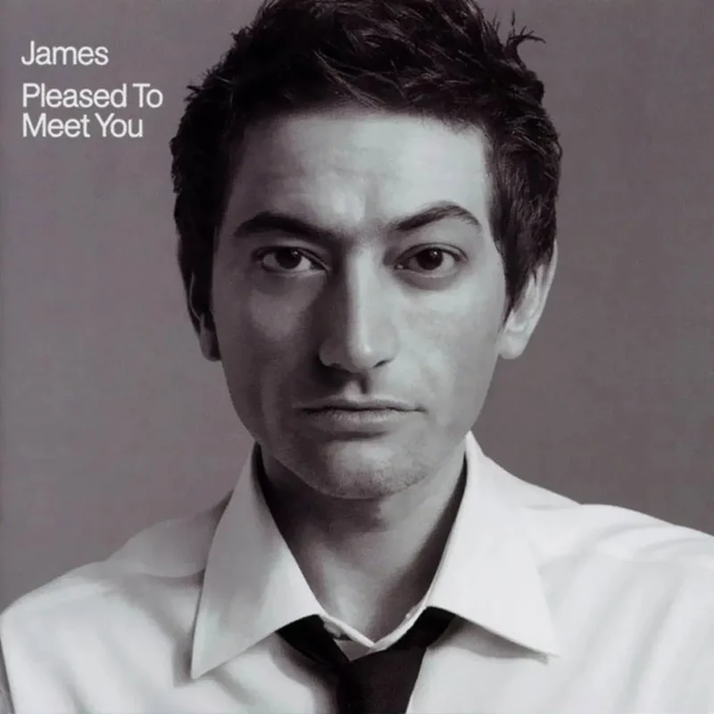 James Pleased To Meet You (2xLP)
