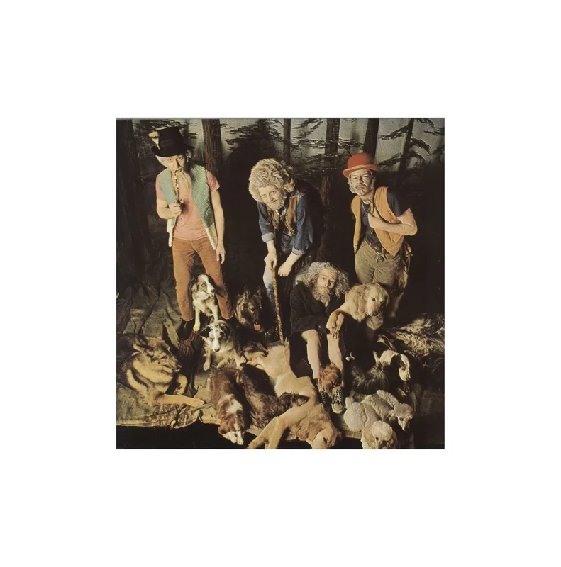Jethro Tull This Was - White Chrysalis - Glossy UK Vinyl LP