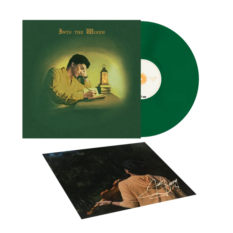 Joel Sunny: Into The Woods Evergreen 1LP