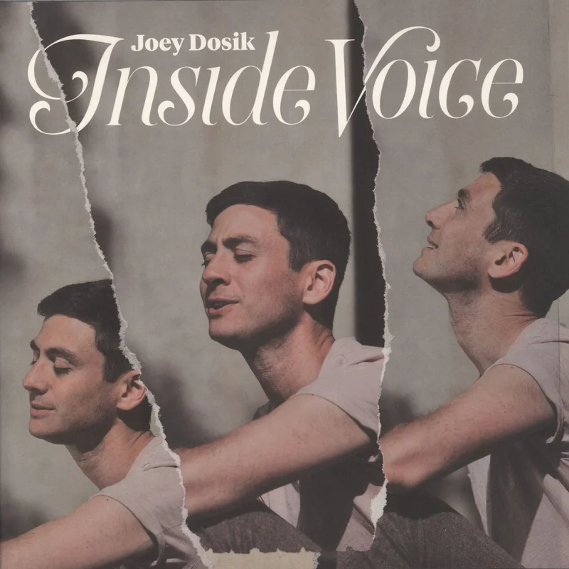 Joey Dosik Inside Voice US Vinyl LP