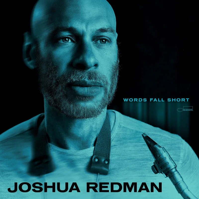 Joshua Redman  Words Fall Short