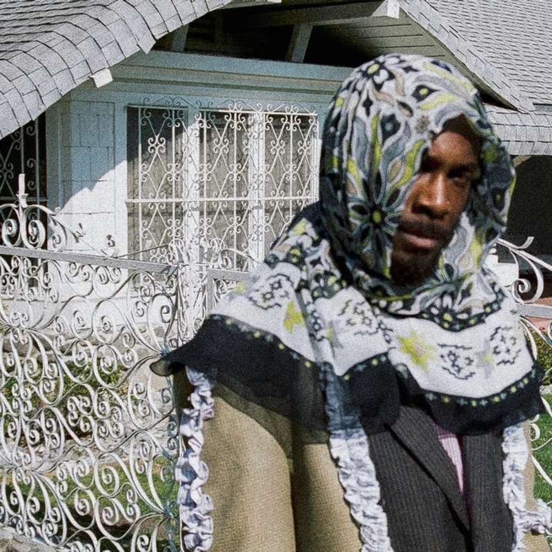 JPEGMAFIA  All My Heroes Are Cornballs (2xLP)