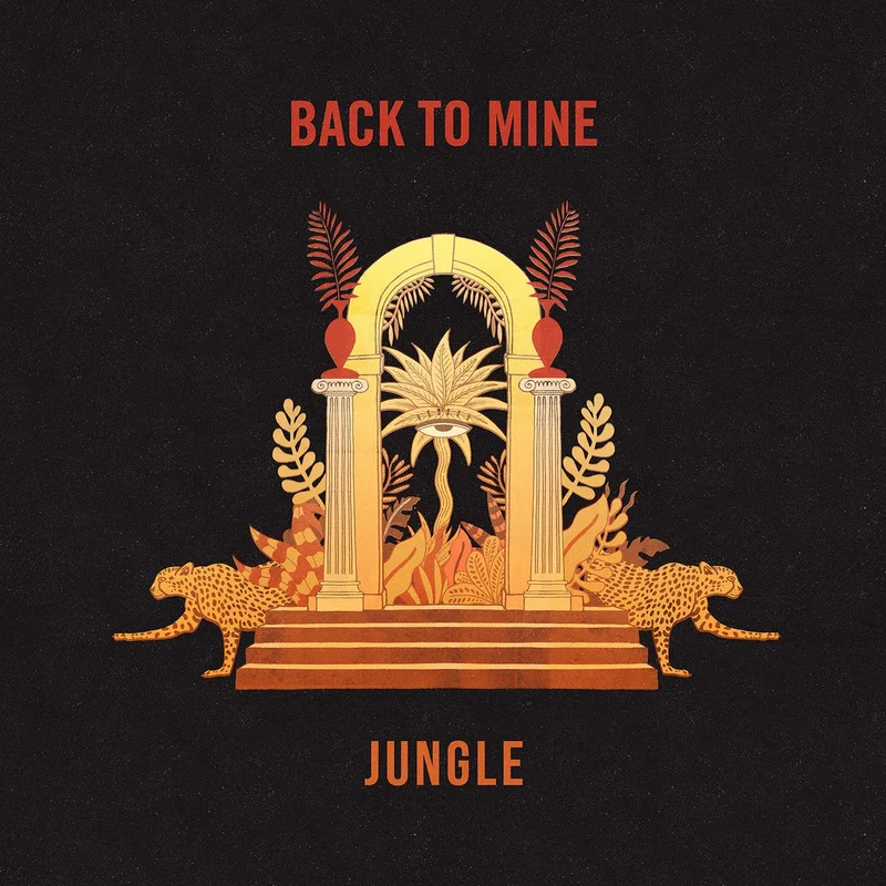 Jungle  Back To Mine