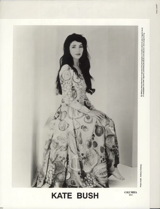 Kate Bush The Red Shoes US Promo Press pack