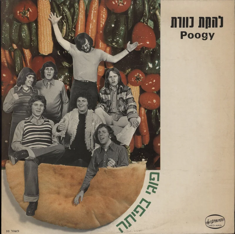 Kaveret Poogy Israeli Vinyl LP