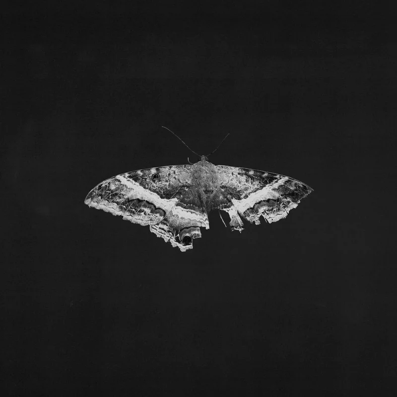 Kendrick Lamar To Pimp A Butterfly (2xLP, 10th Anniversary, Alternate Cover)