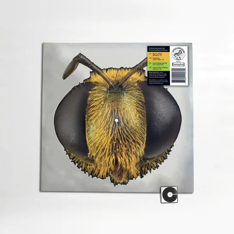 King Gizzard And The Lizard Wizard - "Big Fig Wasp" Record Store Day 2026