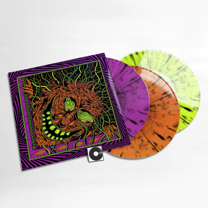 King Gizzard And The Lizard Wizard - "Live In Miami '24"