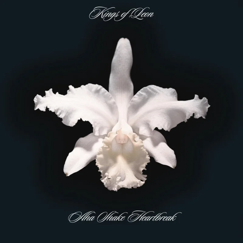 Kings Of Leon Aha Shake Heartbreak (2xLP)