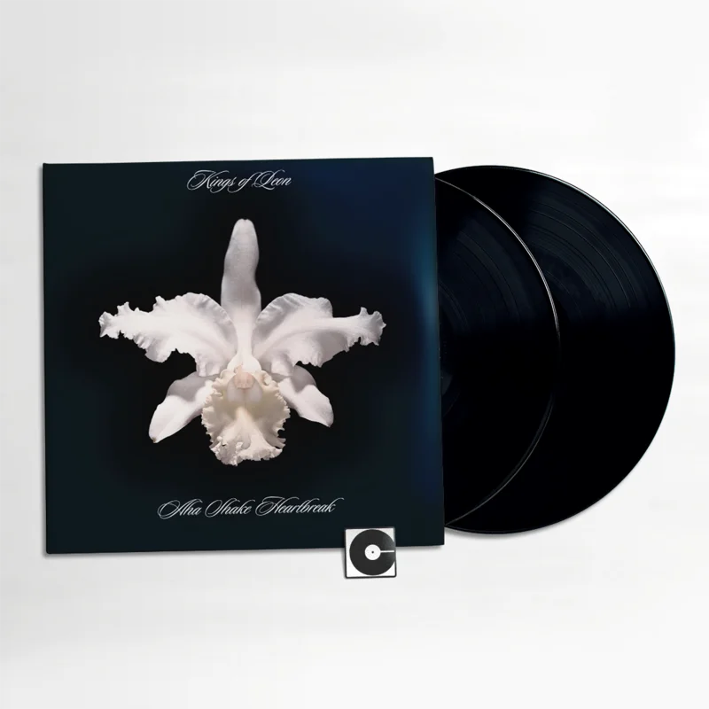 Kings of Leon - "Aha Shake Heartbreak"