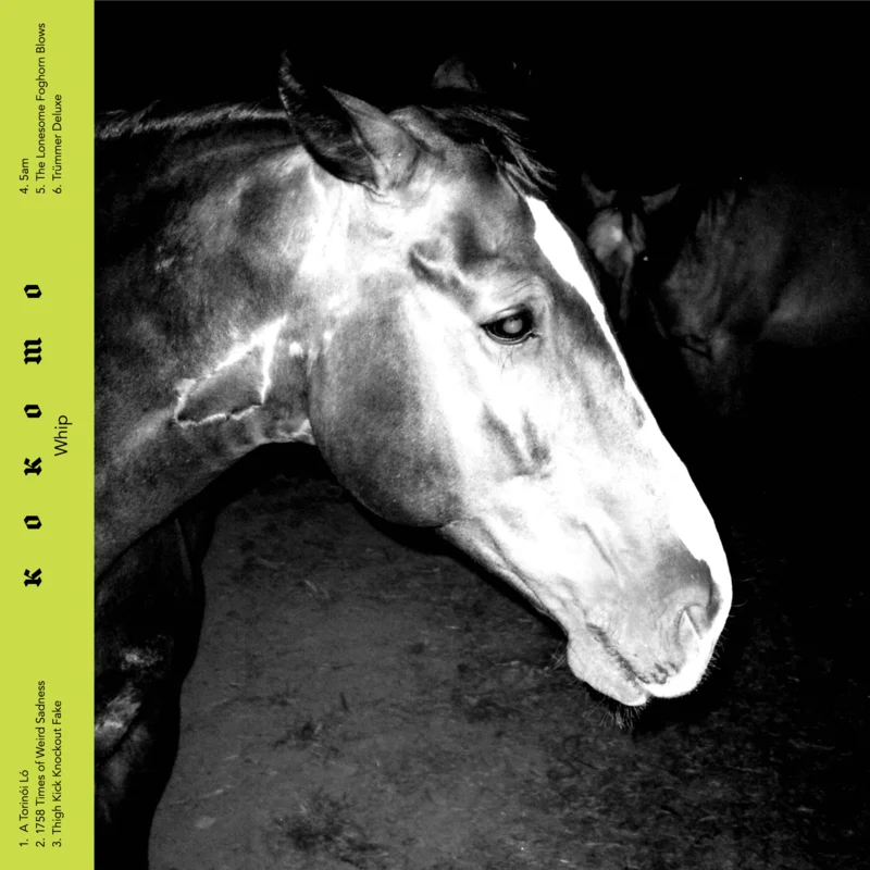Kokomo  Whip [LP]