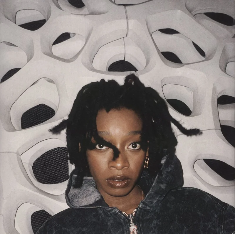Little Simz No Thank You - Clear Vinyl UK 2-LP vinyl set