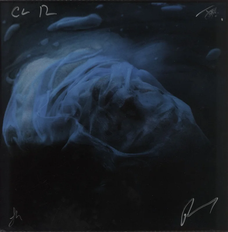 Low Island If You Could Have It All Again - Ocean Blue Vinyl - Autographed UK Vinyl LP