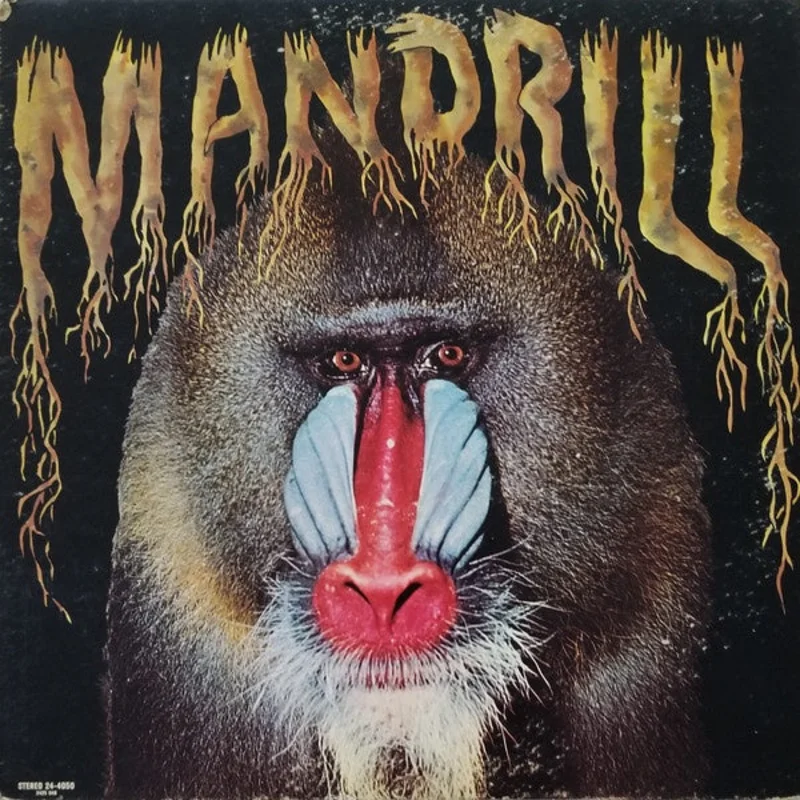 Mandrill  Mandrill