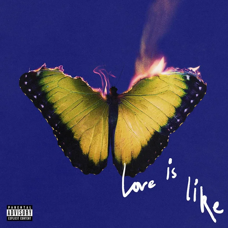Maroon 5 - Love Is Like - LP
