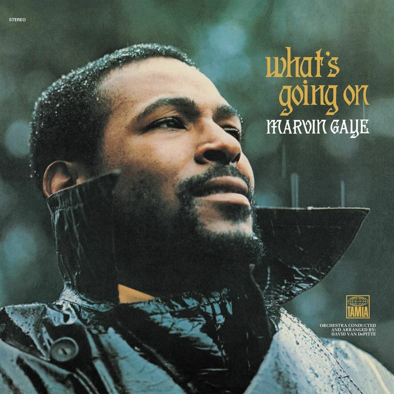 Marvin Gaye What's Going On (50th Anniversary 2xLP)