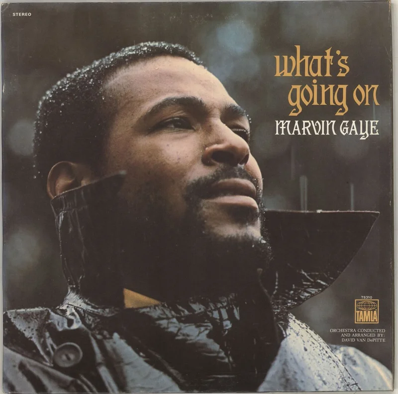 Marvin Gaye What's Going On US Vinyl LP