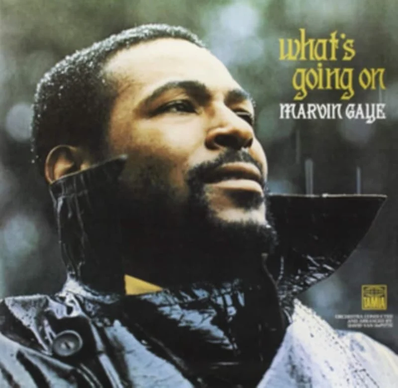 Marvin Gaye Whats Going On