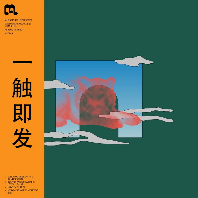 Mindy Meng Wang x Tim Shiel  Nervous Energy