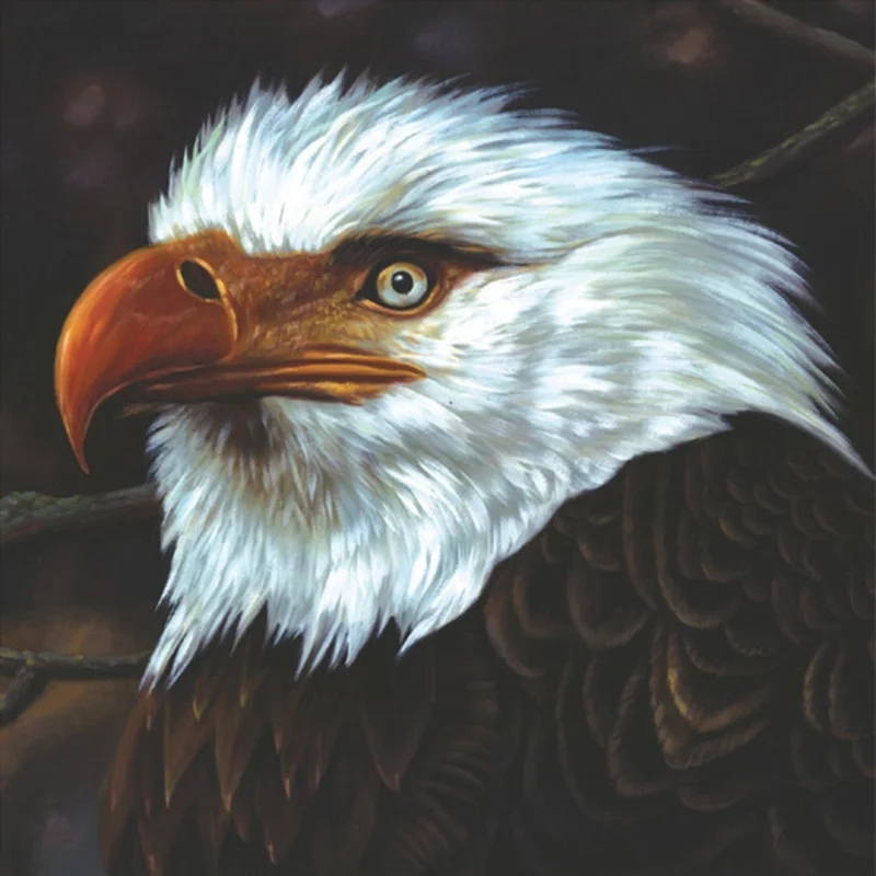 Mogwai The Hawk Is Howling (2xLP, Anniversary Edition, White Vinyl)