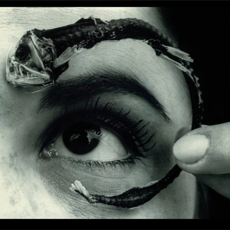 Mr. Bungle Disco Volante (2xLP), Blue vinyl)