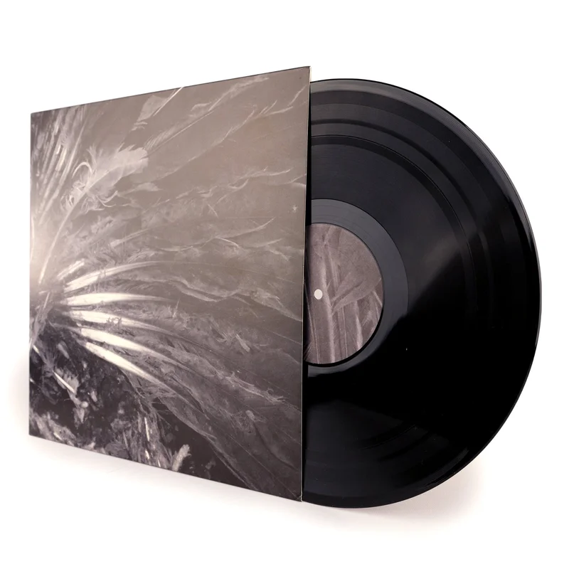 N + [ B O L T ]  N(46) / [ B O L T ] [LP]