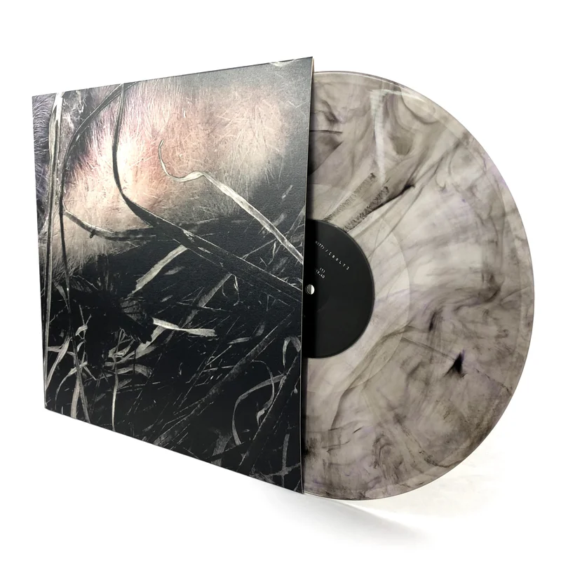 N + [ B O L T ]  N(77) / [ B O L T ] [LP]