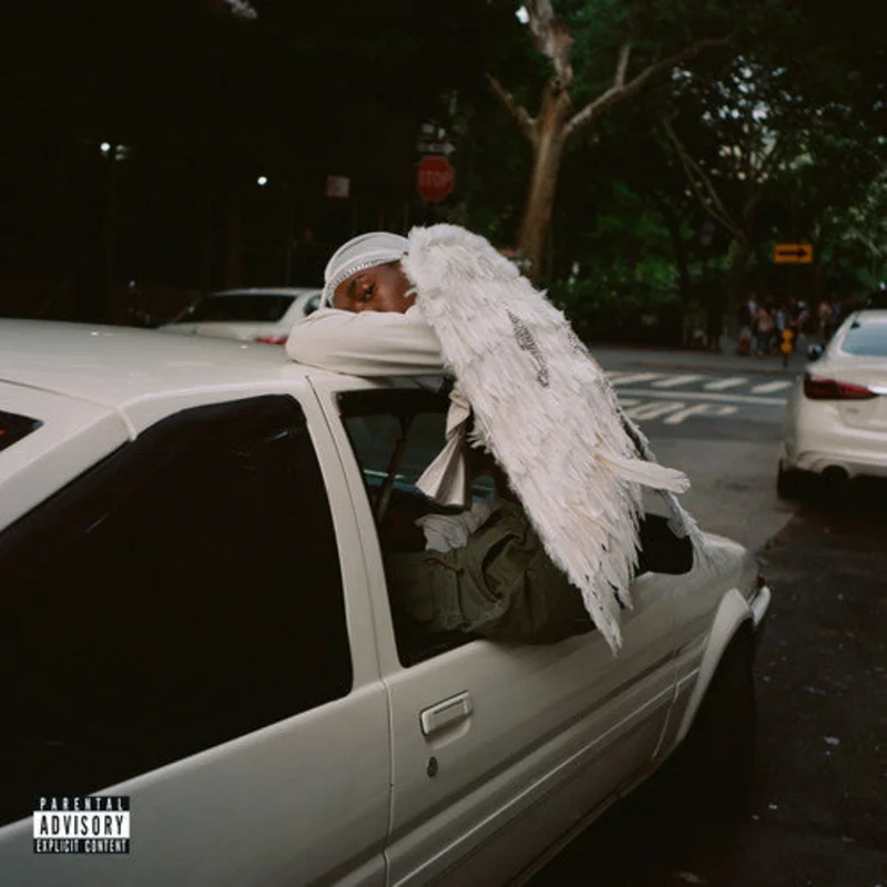 NEGRO SWAN (2018) - CD