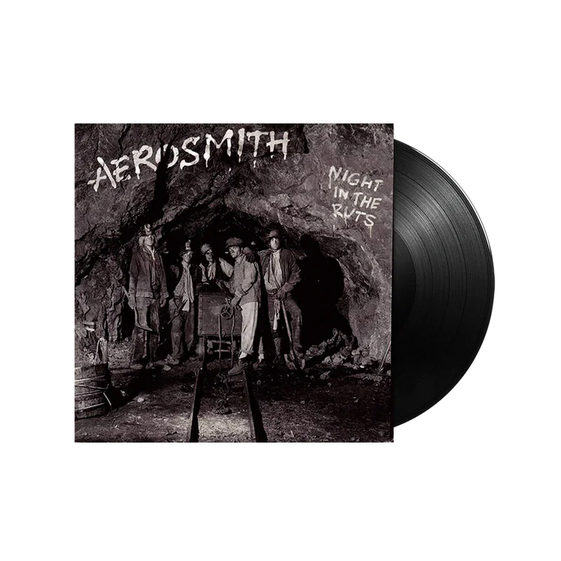 Night In the Ruts (LP)