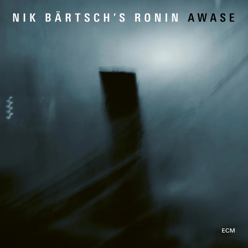 Nik Brtsch's Ronin  Awase
